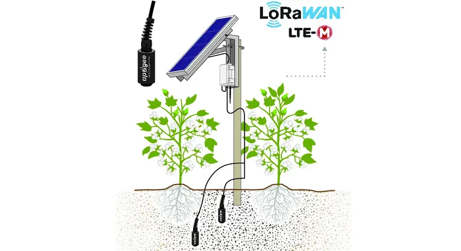 Soil oxygen sensor